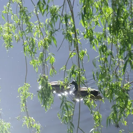 Des Ribieres Camping Confolens